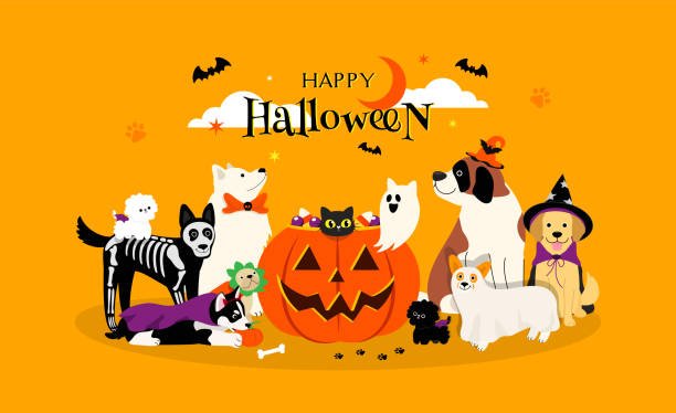 The Ultimate Guide to Halloween Decorations