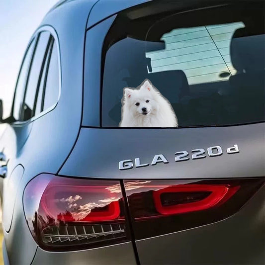 Personalized Car Window Decals Upload Cat Image,Gift For Cat Lover,WD-A-538